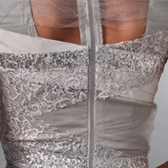 NWT Alice + Olivia Dress Silver Champagne Sequin Mesh Cocktail Sleeveless Size 2 - Picture 2 of 11